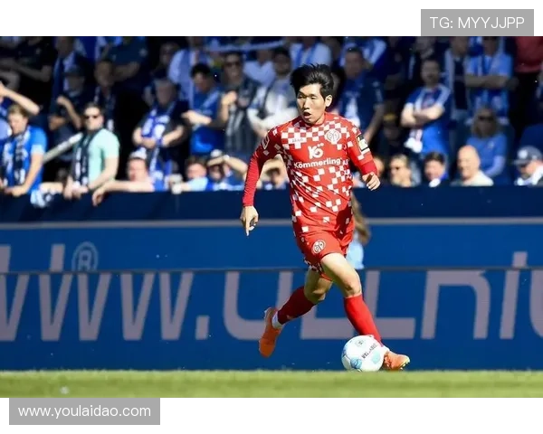 南特足球俱乐部最新动态：新赛季备战情况及球员转会信息分析