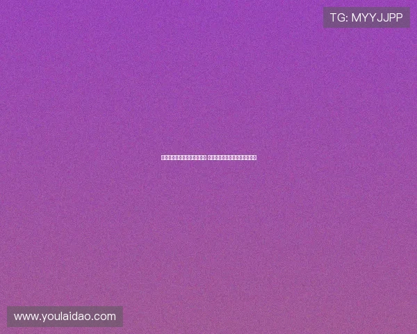 快船队新赛季阵容调整大揭秘 球迷期待核心球员发挥超常表现