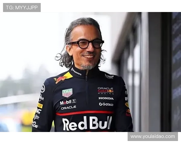 红牛车队再掀风波维斯塔潘回应赛季策略引发车迷热议