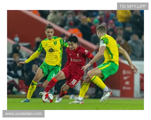 诺维奇俱乐部历史辉煌与未来展望：从英格兰足球小镇到全球足坛影响力