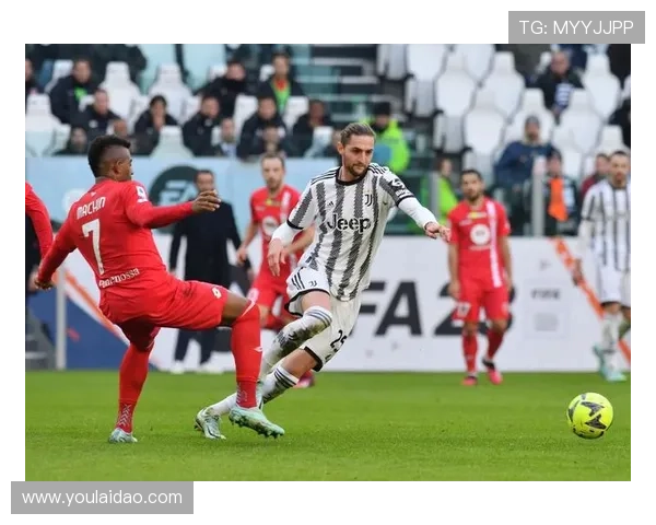 蒙扎足球俱乐部百年传承与意甲复兴战略发展全景解析历史文化与未来愿景